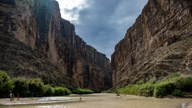 Texas Travel Troubles, Nattō Bowls, and Viral Vibes: A Deep Dive into Amy’s Adventures
