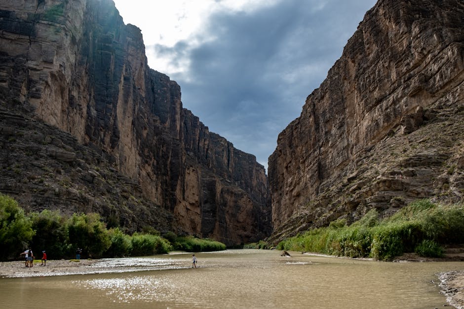 Texas Travel Troubles, Nattō Bowls, and Viral Vibes: A Deep Dive into Amy's Adventures