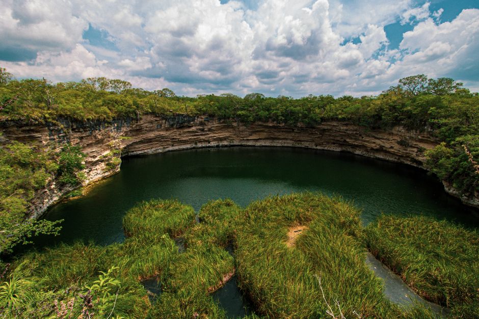 Texas Travel Troubles, Nattō Bowls, and Viral Vibes: A Deep Dive into Amy's Adventures
