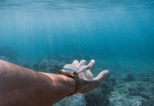 Decoding the Depths: A Guide to Choosing the Perfect Dive Watch