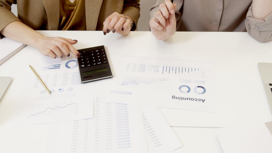 Financial Audit: When Dreams of Multiple Wives Meet Financial Reality
