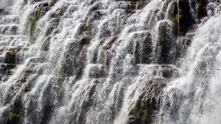 The Copper Cascade: Inside a Wire Chopper’s Roaring Heart